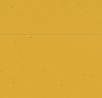 Forbo Sphera Energetic 50210 mandarin фото 2 | FLOORDEALER